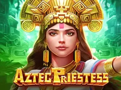 Vicibet Casino screenshot